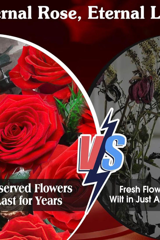 Eternal Preserved Rose Bouquet – Luxury Real Roses That Last for Years | Perfect Romantic Gift